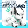 Cross-border Y8360 Smart Imitation remote control robot dog children's toy one-click follow programming special effects pet dog details Picture